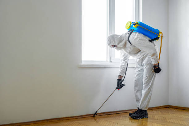 Best Pest Prevention Services  in Pleasant View, UT