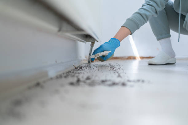 Best Pest Control for Businesses  in Pleasant View, UT